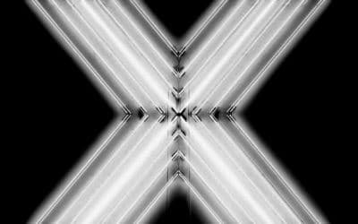 The Husk X Factor