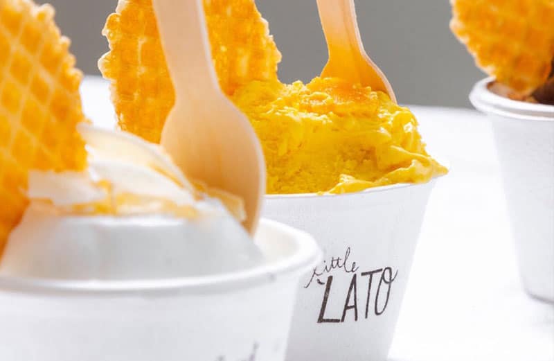 Vegan gelato by Little Lato