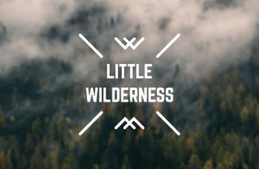 Little Wilderness Branding by Husk