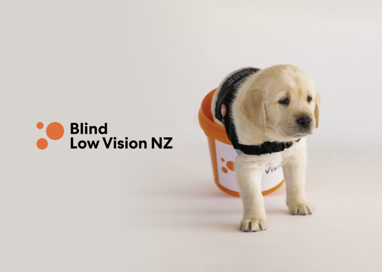 Blind Low Vision NZ