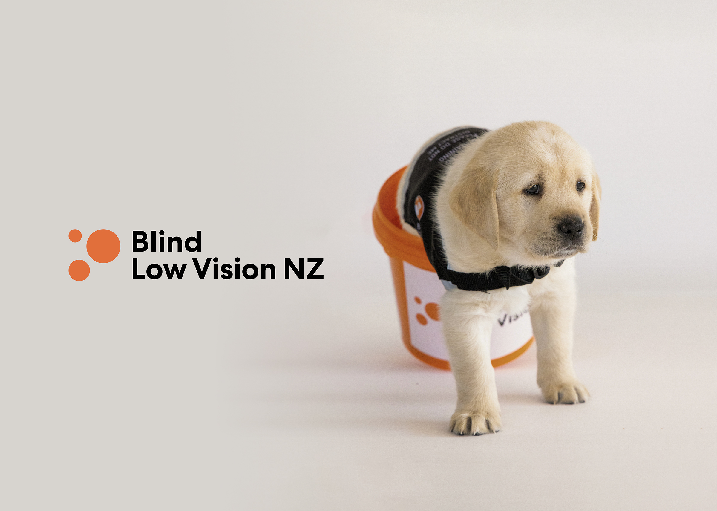 Blind Low Vision