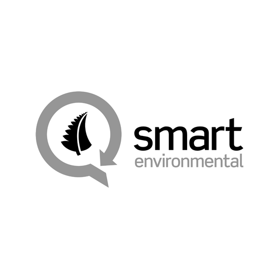 Smart Enviromental Logo