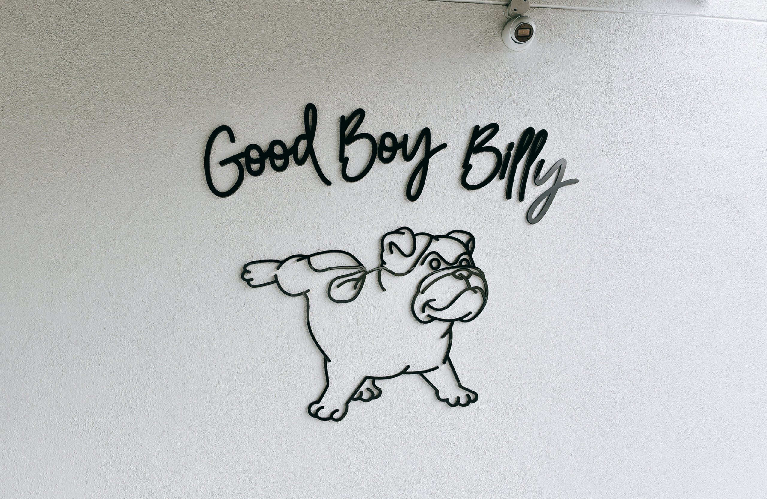 Good Boy Billy
