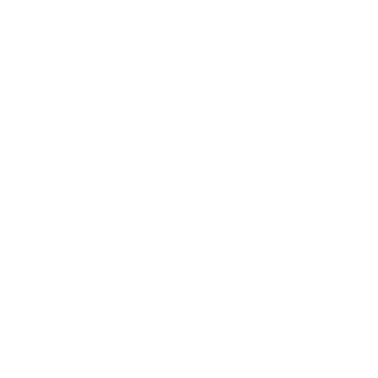 The Y The Y